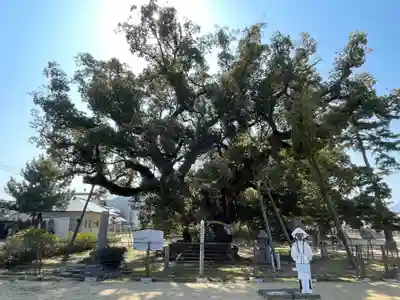 善通寺(香川県)