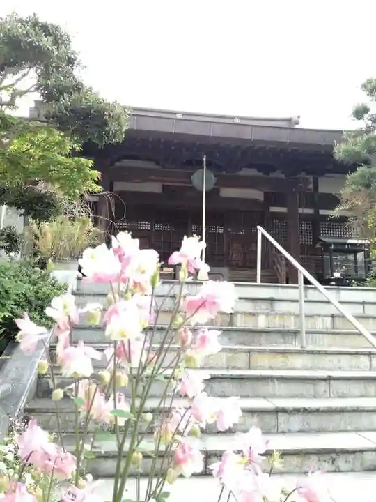 報恩寺の本殿・本堂