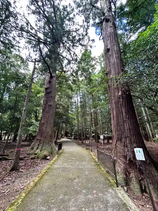 若狭彦神社(上社)(福井県)