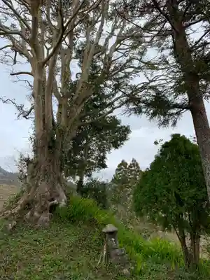 八雲神社の末社・摂社