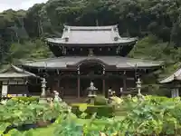 三室戸寺の本殿・本堂