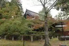 真正極楽寺（真如堂）(京都府)