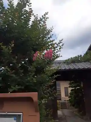 西方山極楽寺(岐阜県)