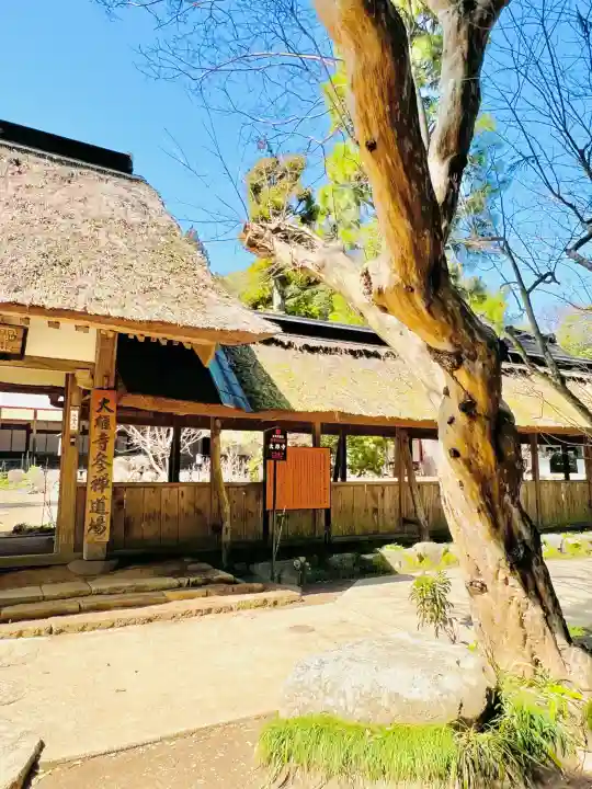 大雄寺の{uncategorized: "未分類", other: "その他", undefined: "問題あり", building: "その他建物", grave: "お墓", sacred_gate: "鳥居", guardian: "狛犬", statue: "像", buddha: "仏像", history: "歴史", nature: "自然", garden: "庭園", animal: "動物", pagoda: "塔", temizu: "手水舎", mountain_gate: "山門・神門", sanctuary: "本殿・本堂", subordinate: "末社・摂社", art: "芸術", scenery: "景色", jizo: "地蔵", ema: "絵馬", goshuin: "御朱印", omikuji: "おみくじ", items: "授与品その他", amulet: "お守り", goshuincho: "御朱印帳", eats: "食事", festival: "お祭り", votive_dance: "神楽", shichigosan: "七五三参", wedding: "結婚式", experience: "体験その他", initially: "初詣", around: "周辺", anti_infection: "感染症対策"}
