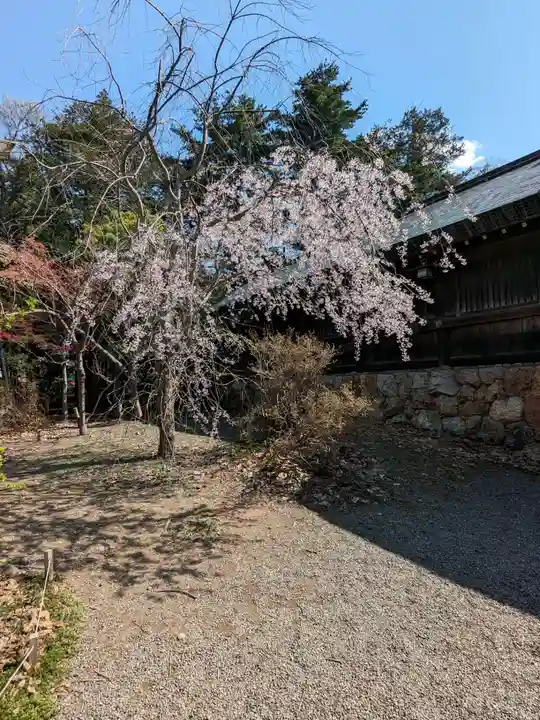 北海道神宮の自然