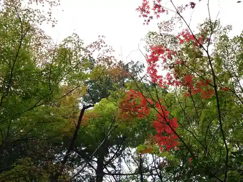 岐阜稲荷山本社(岐阜県)