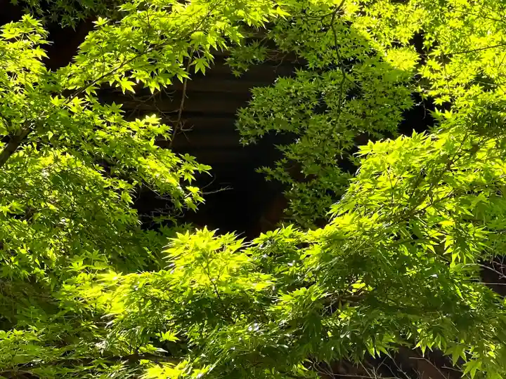 武水別神社(長野県)