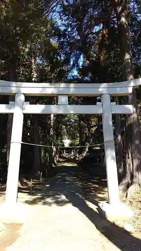 王子神社の鳥居