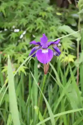 西應寺(滋賀県)