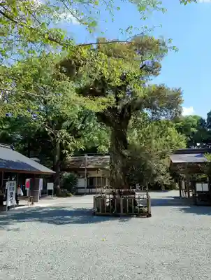 井伊谷宮(静岡県)