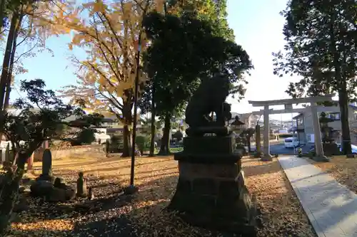 熊野福藏神社の鳥居