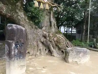 青井阿蘇神社(熊本県)