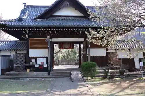 観音寺（世田谷山観音寺）の山門・神門
