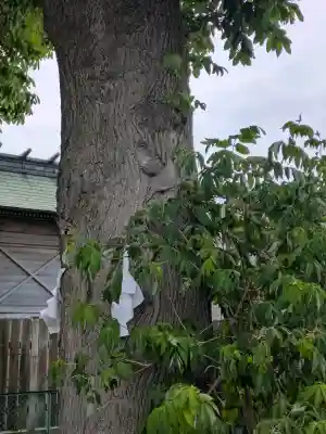 亀田龍神社(北海道)