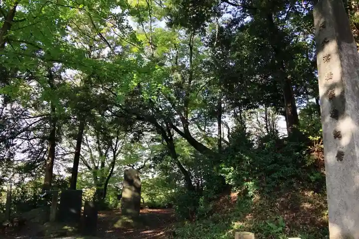 阿久津「田村神社」(郡山市阿久津町)旧社名:伊豆箱根三嶋三社の景色