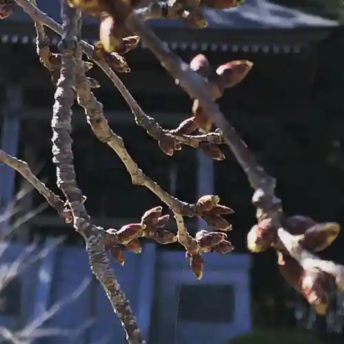 鹿島台神社の自然