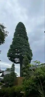 仏導寺(神奈川県)