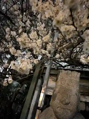 玉眞院玉川大師(東京都)