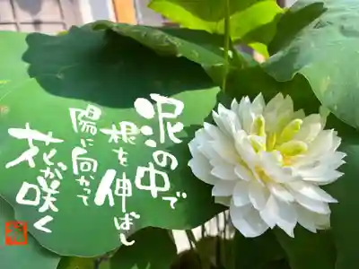 松本山 地福禅寺(滋賀県)