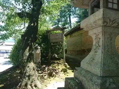 慈尊院(和歌山県)