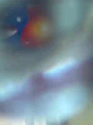 釧路一之宮 厳島神社(北海道)