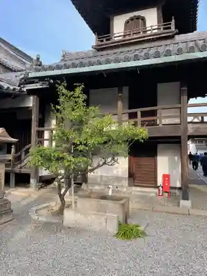 本興寺のその他建物