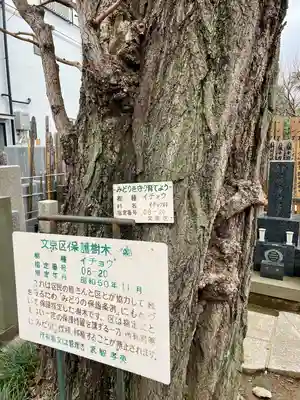 定泉寺(東京都)