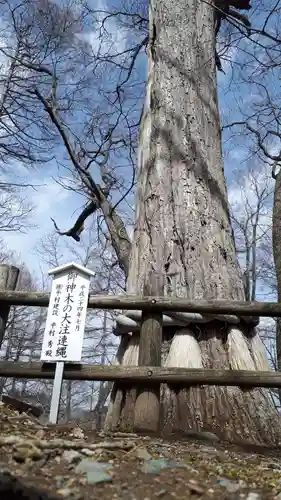 義經神社の自然