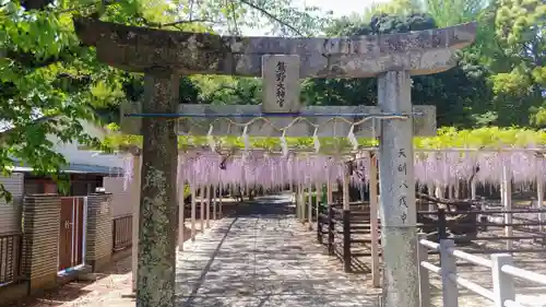 熊野神社の鳥居