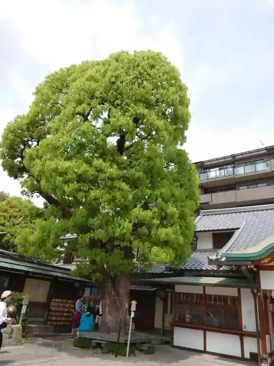 晴明神社のその他建物