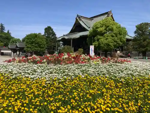 成田山新勝寺の{uncategorized: "未分類", other: "その他", undefined: "問題あり", building: "その他建物", grave: "お墓", sacred_gate: "鳥居", guardian: "狛犬", statue: "像", buddha: "仏像", history: "歴史", nature: "自然", garden: "庭園", animal: "動物", pagoda: "塔", temizu: "手水舎", mountain_gate: "山門・神門", sanctuary: "本殿・本堂", subordinate: "末社・摂社", art: "芸術", scenery: "景色", jizo: "地蔵", ema: "絵馬", goshuin: "御朱印", omikuji: "おみくじ", items: "授与品その他", amulet: "お守り", goshuincho: "御朱印帳", eats: "食事", festival: "お祭り", votive_dance: "神楽", shichigosan: "七五三参", wedding: "結婚式", experience: "体験その他", initially: "初詣", around: "周辺", anti_infection: "感染症対策"}