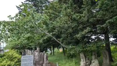 神山教会の自然