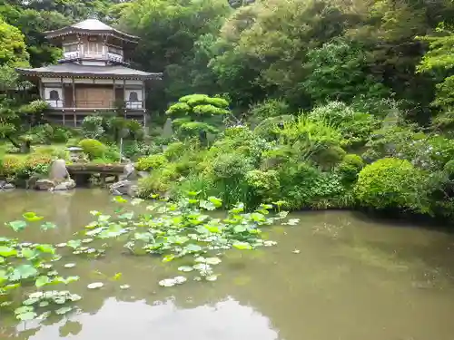 光明寺の庭園