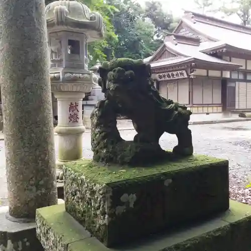 素鵞熊野神社の狛犬