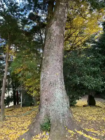 上内神感神社(兵庫県)