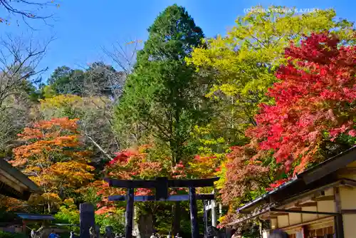 古峯神社(栃木県)