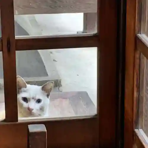 三輪神社の動物