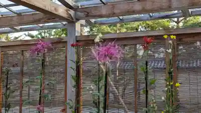 大覚寺(京都府)