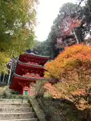 岩船寺の建物その他