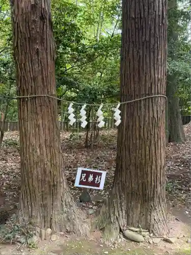 宮原八幡宮(栃木県)