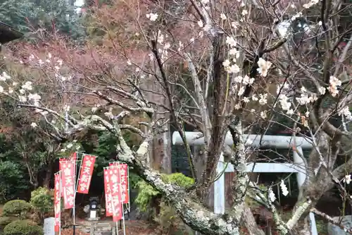 鹿島大神宮の自然
