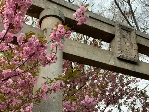 諏方神社の鳥居