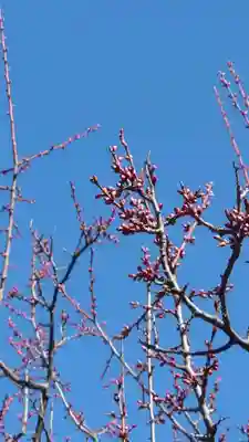 相馬神社(北海道)