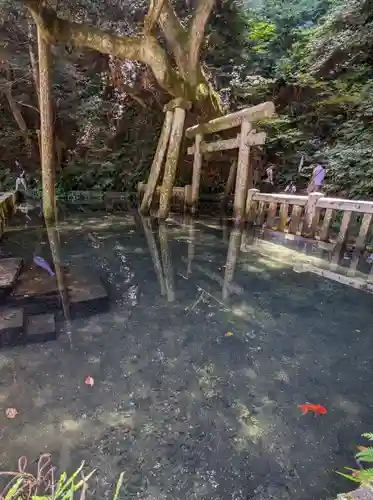 鹿島神宮(茨城県)