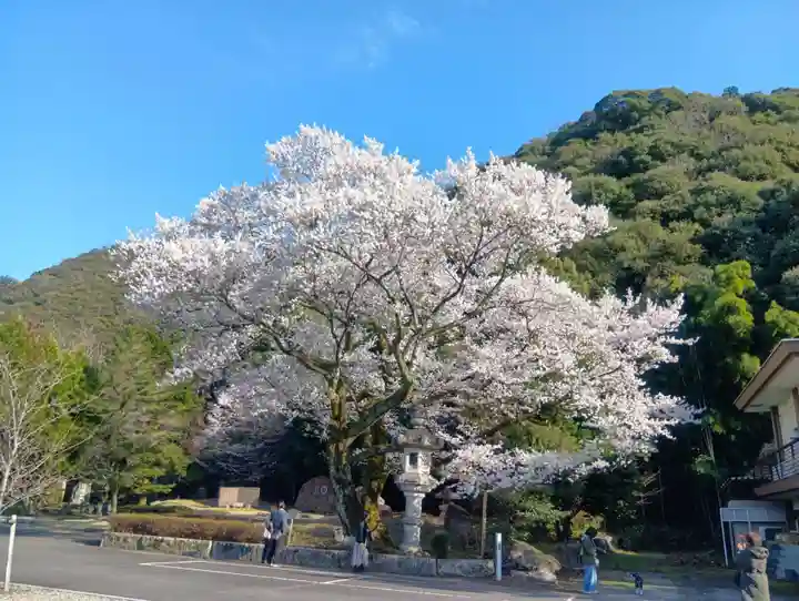 岐阜護國神社(岐阜県)