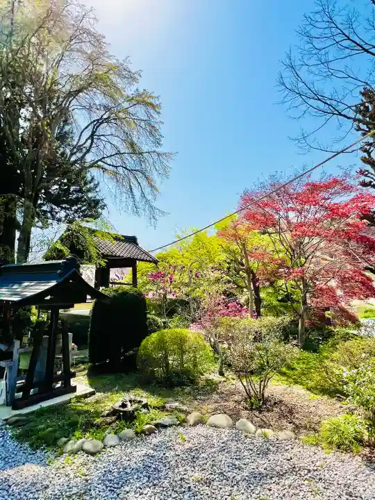 正蓮寺の{uncategorized: "未分類", other: "その他", undefined: "問題あり", building: "その他建物", grave: "お墓", sacred_gate: "鳥居", guardian: "狛犬", statue: "像", buddha: "仏像", history: "歴史", nature: "自然", garden: "庭園", animal: "動物", pagoda: "塔", temizu: "手水舎", mountain_gate: "山門・神門", sanctuary: "本殿・本堂", subordinate: "末社・摂社", art: "芸術", scenery: "景色", jizo: "地蔵", ema: "絵馬", goshuin: "御朱印", omikuji: "おみくじ", items: "授与品その他", amulet: "お守り", goshuincho: "御朱印帳", eats: "食事", festival: "お祭り", votive_dance: "神楽", shichigosan: "七五三参", wedding: "結婚式", experience: "体験その他", initially: "初詣", around: "周辺", anti_infection: "感染症対策"}