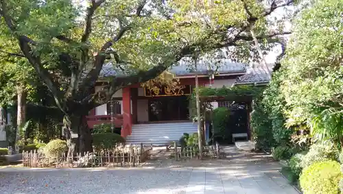 円通寺の本殿・本堂