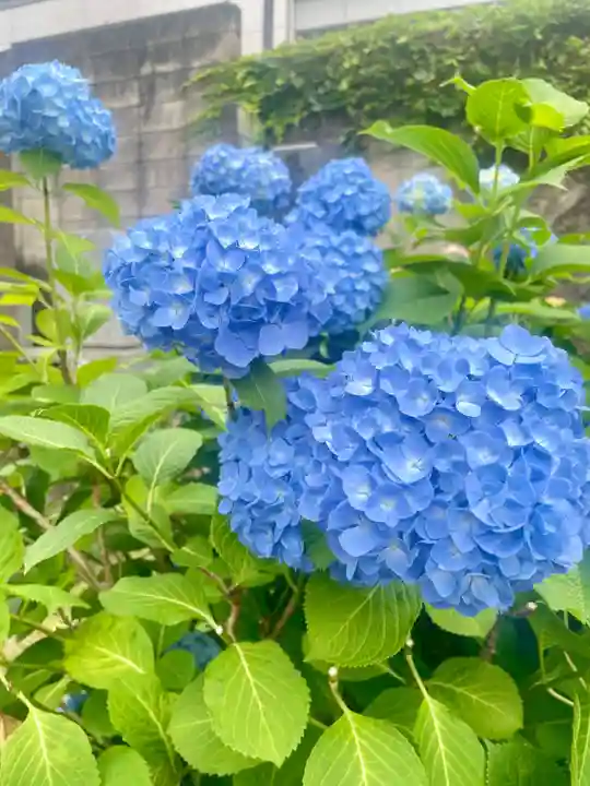 當光寺(東京都)