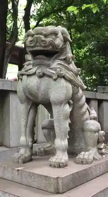 渋谷氷川神社の狛犬