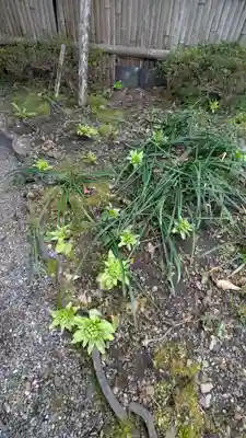 三時知恩寺(京都府)